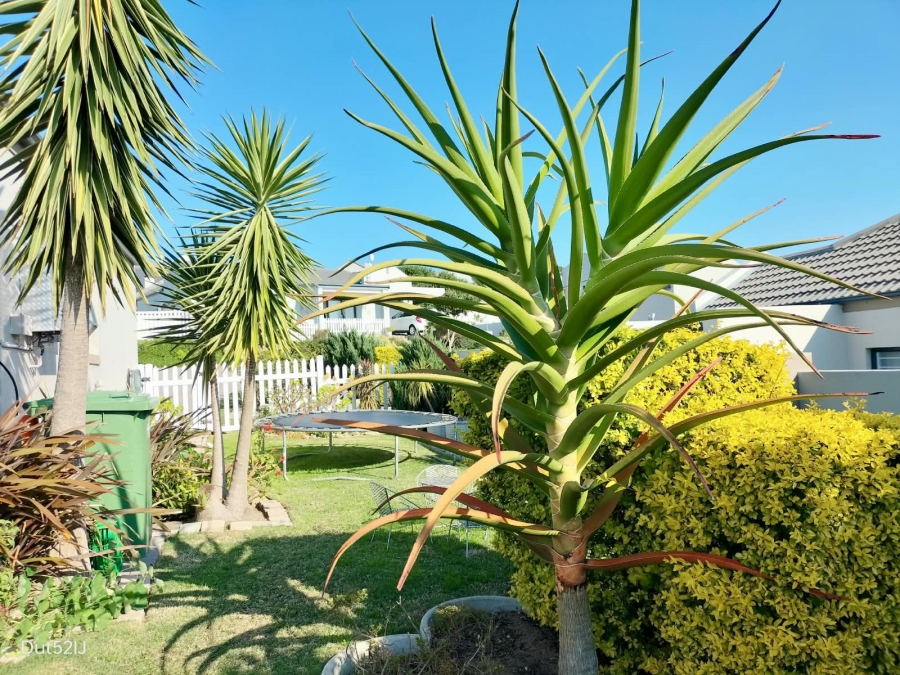 2 Bedroom Property for Sale in Reebok Western Cape